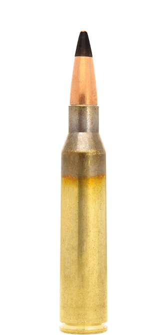 .338 Lapua Mag
