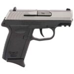 SCCY CPX-2 Gen3 9mm Luger 3.1in Stainless Steel Pistol – 10+1 Rounds - buyghostguns.us.com