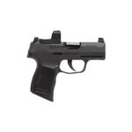 Sig Sauer P365 380 Auto (ACP) 3.1in Black Nitron Pistol – 10+1 Rounds - buyghostguns.us.com